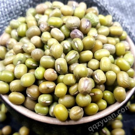 黑龙江绿豆厂家批发 东北特色发芽有机绿豆 出口企业和粮农业