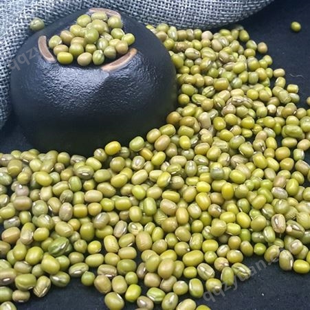黑龙江绿豆厂家批发 东北特色发芽有机绿豆 出口企业和粮农业
