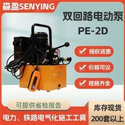 电动液压泵压接机配套双回路电动泵PE-2D高压油泵浦复动式钳压泵
