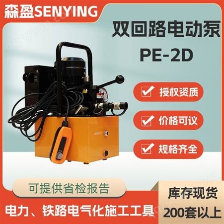 电动液压泵压接机配套双回路电动泵PE-2D高压油泵浦复动式钳压泵