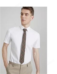 商务夏季新款男士短袖温莎领衬衫免烫职业装衬衣办公室工作服
