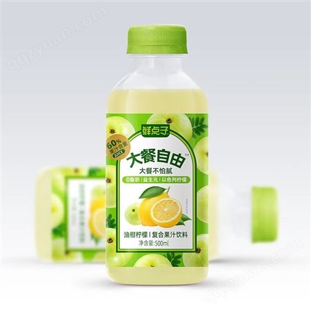鲜点子大餐自由芒果复合果汁饮品果汁饮料500ml招商