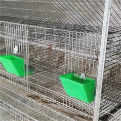 全自动养殖兔笼 不锈钢热镀锌繁殖笼具 结构稳定