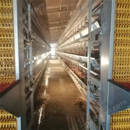 层叠式蛋鸡笼 养殖场大型框架笼具 牵引式清粪