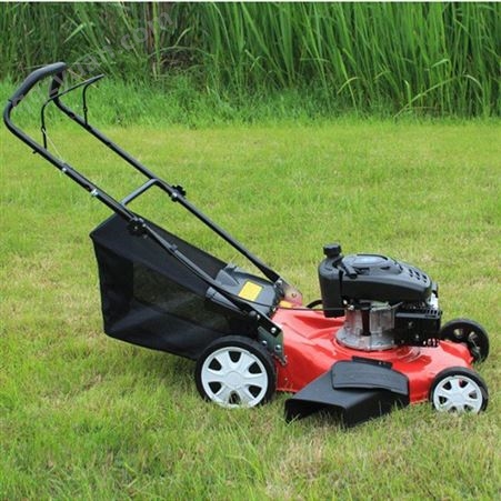 小型自走式园林别墅草坪机械 修剪割草机 现货出售