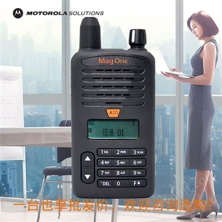 摩托罗拉（Motorola）A2D 数字对讲机