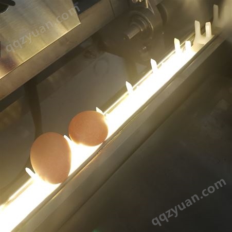 鸡蛋裂纹检测设备 翰润渤光检机器 坏蛋挑选光检机