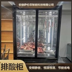 立式牛羊肉柜定制 冷冻保鲜牛肉熟成排酸柜 恒温抑菌