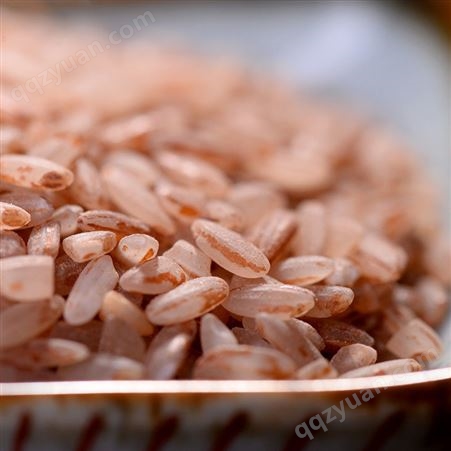 桂花甲红米500克 普洱红米大米送礼佳品 厂家供应
