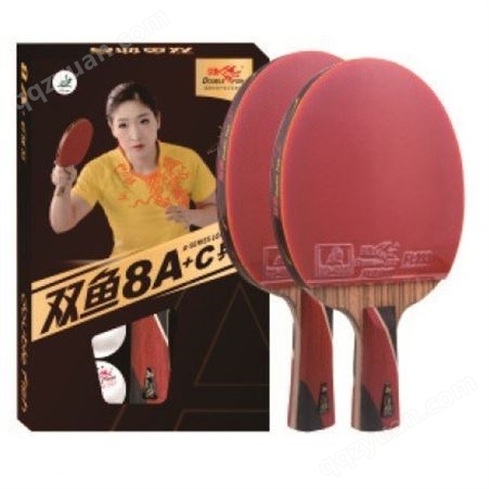 惠州大亚湾双鱼乒乓球拍室内外单拍双拍体育用品健身器材专卖店