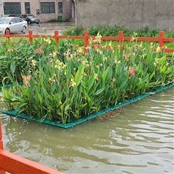 天利生态浮床 净化水质水生植物浮岛 河道池塘水库水面绿化项目