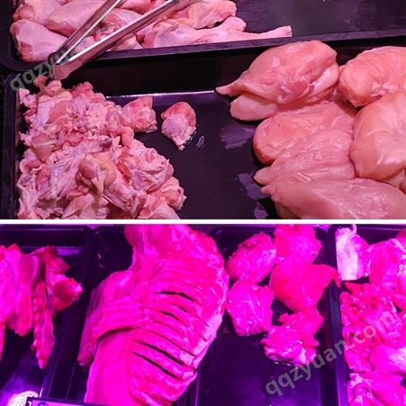 超市PP肉托盘 黑托盘 冷生鲜肉盘 猪肉托盘 熟食专用