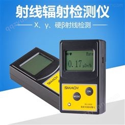 个人剂量报警仪RG1000型 测试X、γ和硬β射线 便携式 便携式剂量报警仪